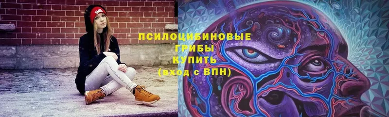 Галлюциногенные грибы Psilocybe  площадка как зайти  блэк спрут ТОР  Анжеро-Судженск  купить  